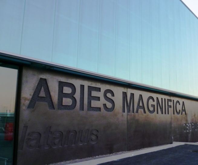 MARCHÉ D’INTÉRÊT NATIONAL TOULOUSE MÉTROPOLE (MIN)