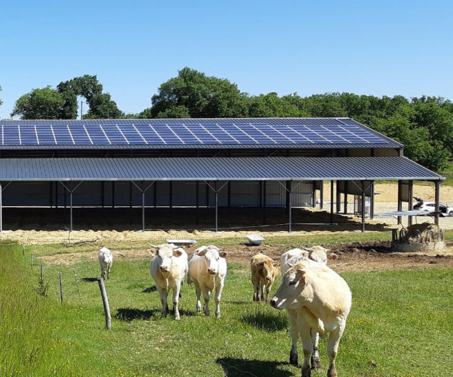 Bâtiment photovoltaïque agricole Irisolaris / Mirande (32)