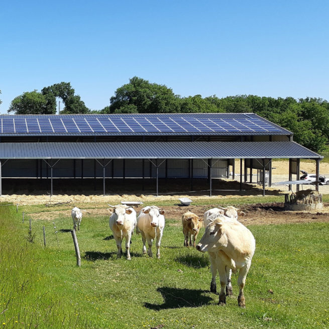 Bâtiment photovoltaïque agricole Irisolaris / Mirande (32)