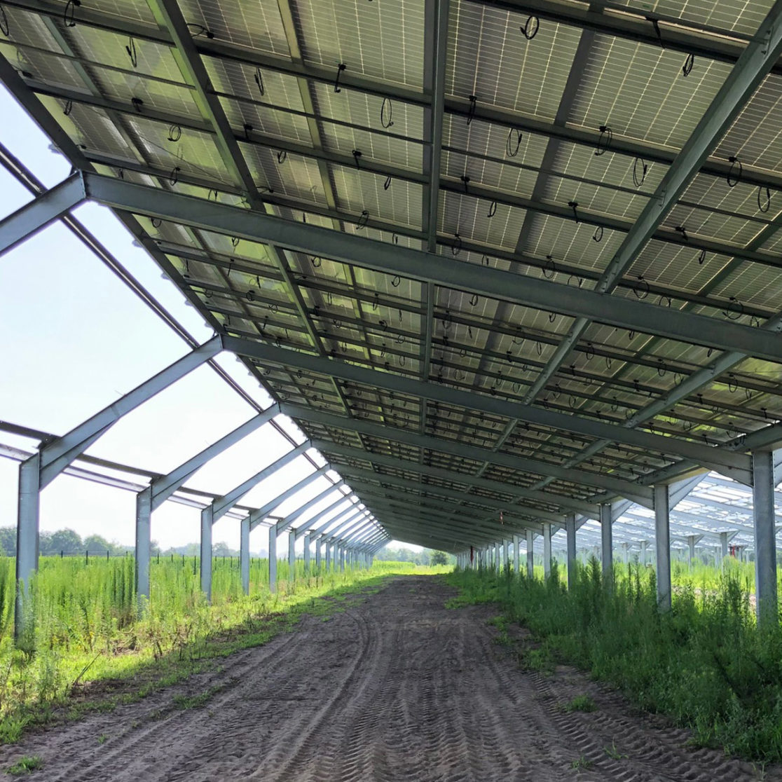 Intérieur Ombrière photovoltaïque agricole - Solveo / Rion-des-Landes (40)