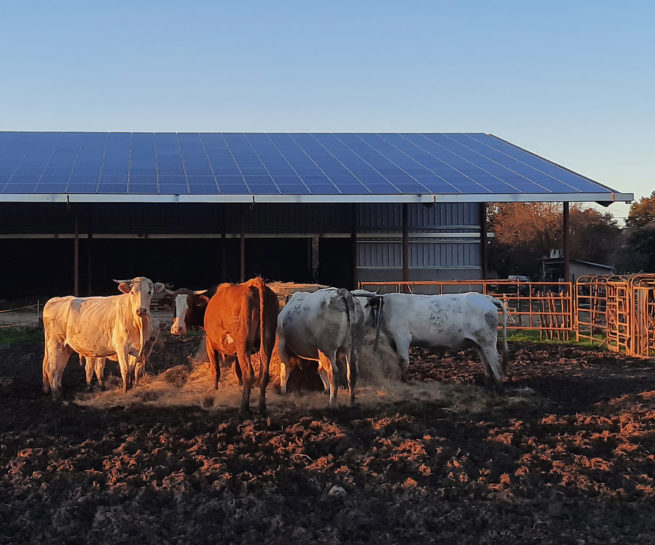 vue panne sablière Hangar photovoltaïque VergnaudFrance / Saint-Aunix-Lengros (32)