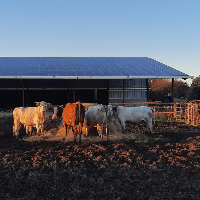 vue panne sablière Hangar photovoltaïque VergnaudFrance / Saint-Aunix-Lengros (32)